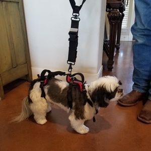 Help 'em Up Harness and Handle Handicap Dog